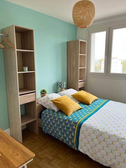 Chambre Privee Dans Un Appartement Partage Вильорбан Екстериор снимка